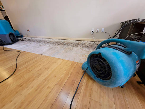 Professional Water Damage Repair technician working in Gales Creek, OR